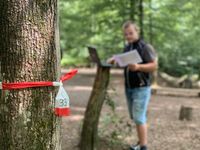 Erstellung eines Baumkatasters in einem Waldkindergarten